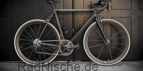 Parlee Z1  technische daten 